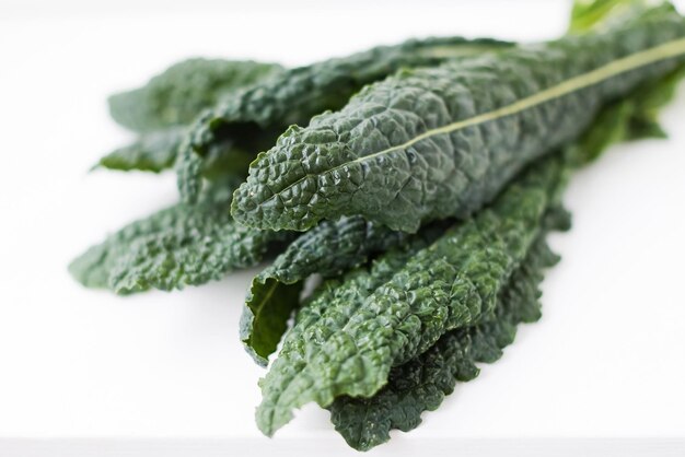 Fresh black kale leaves close up