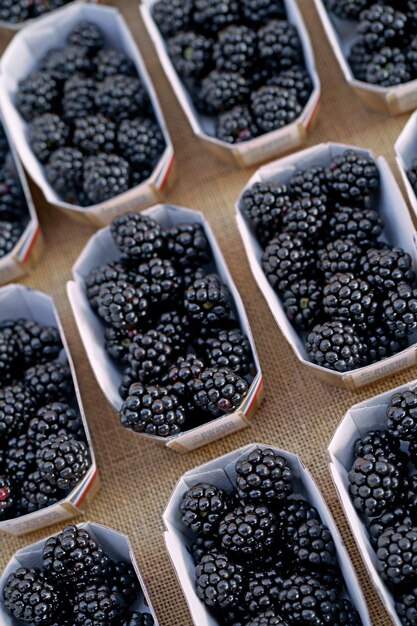 Photo fresh blackberries in a paper box fresh organic blackberries being sold on a stall at a farmers market