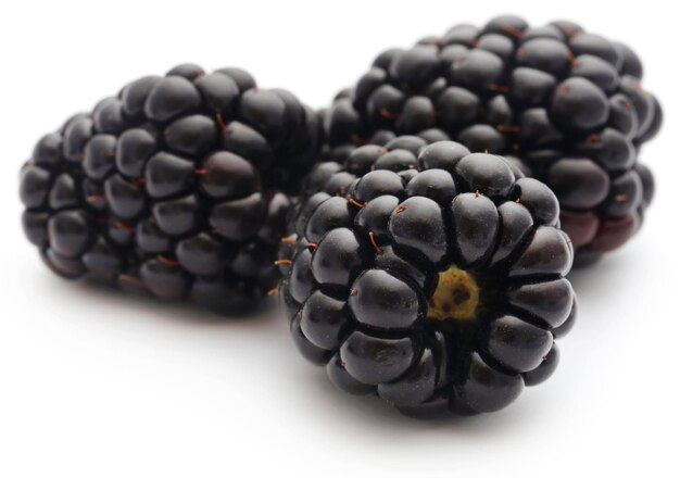 Fresh blackberries over white background