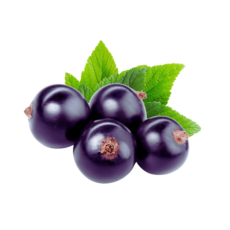 Photo fresh blackcurrant with water drop isolated on white background