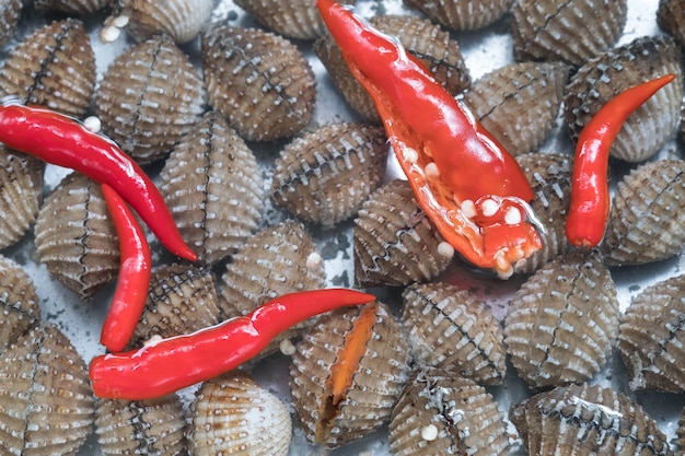 新鮮な血のコックルまたは血の貝（Tegillarca granosa）の背景、シェルのシーフード。血まみれをきれいにする方法新鮮な唐辛子を水の中に入れて、泥だらけの貝を泥だらけにする。