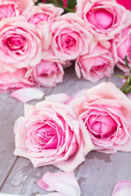 Fresh blooming pink  roses  laying  on wooden  table