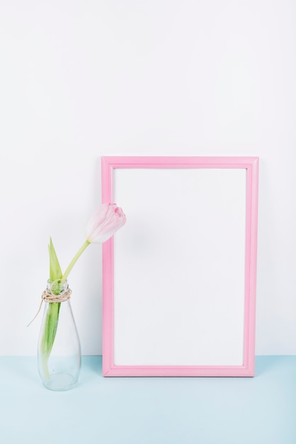 Fresh blooming tulip flower in transparent vase with pink border photo frame