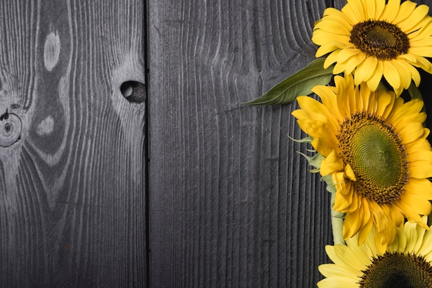 Fresh blossom beautiful sunflowers on wooden desk