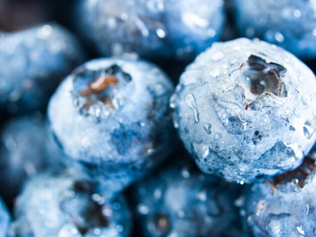 Fresh bluberries from local market on white background. Blueberries contain anthocyanins,  and various phytochemicals, which possibly have a role in reducing risks of some diseases.