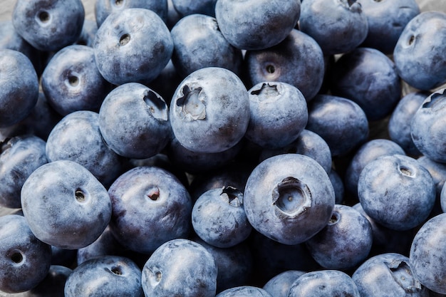 Cc26 Candy Concentrate Blueberries