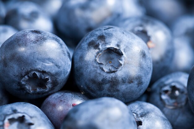 Fresh blue blueberries