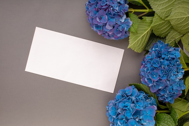 Fresh blue hydrangeas on gray wall. Free space for text. Top view. Copy space. Blank greeting card for creative work design