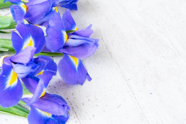 Fresh blue iris flowers on white wooden background with copy space