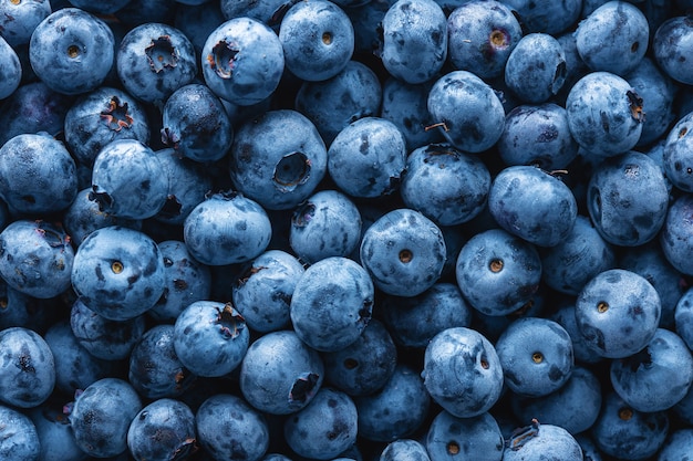 Photo fresh blueberries background close up