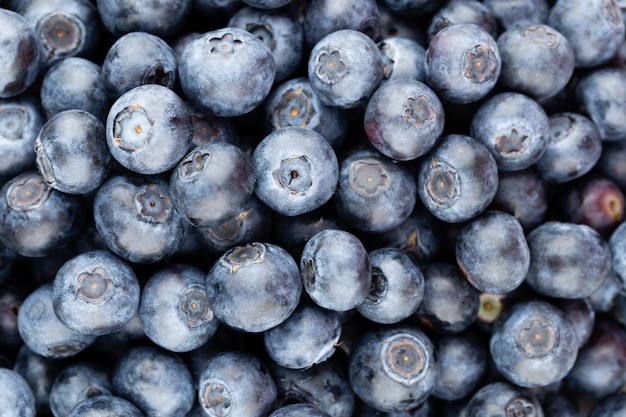 Fresh blueberries background texture