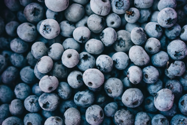 Fresh blueberries background with copy space for your text. Border design