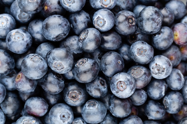 Fresh blueberries background