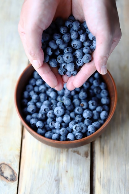 Fresh blueberries in a bowl