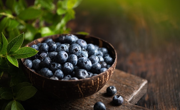 Fresh blueberries with leaves