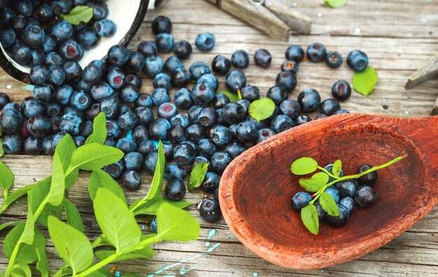 Fresh blueberries in a wooden spoon