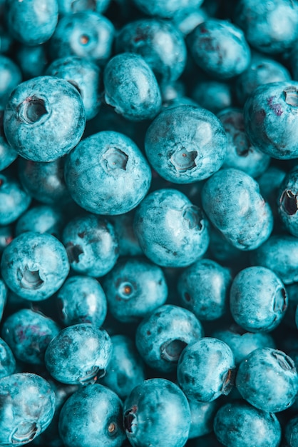 Fresh Blueberry background. close up with selective focus and water droplets. Concept of healthy and dieting eating.