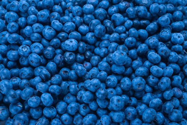 Fresh blueberry background details texture