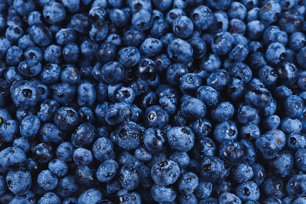 Fresh blueberry background. Texture blueberry berries close up.