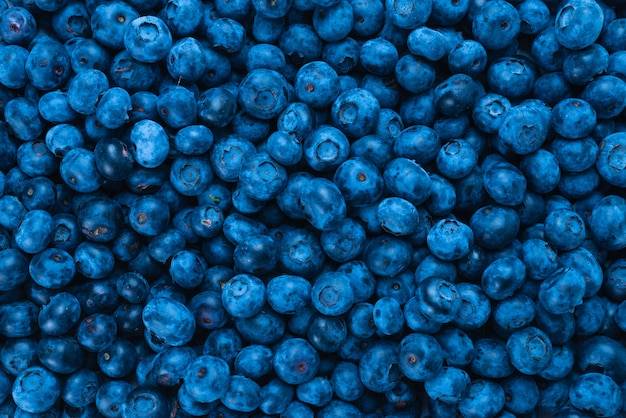 Fresh blueberry background. Texture blueberry berries close up.