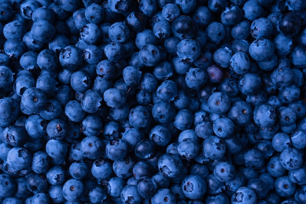 Fresh blueberry background Texture blueberry berries close up