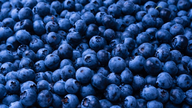 Fresh blueberry background Texture blueberry berries close up