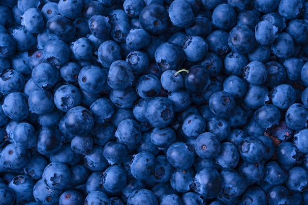 Fresh blueberry background Texture blueberry berries close up