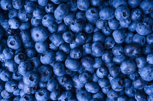 Fresh blueberry background Texture blueberry berries close up