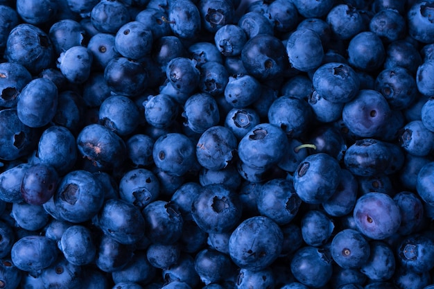 Fresh blueberry background Texture blueberry berries close up