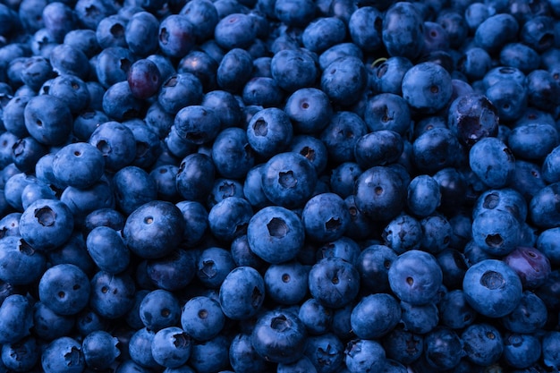 Fresh blueberry background Texture blueberry berries close up