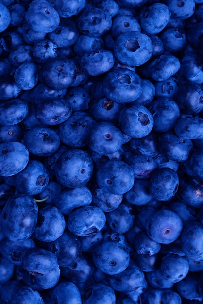 Fresh blueberry background Texture blueberry berries close up