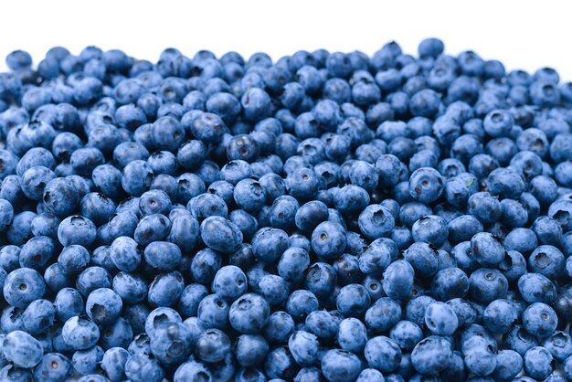 Fresh blueberry background. Texture blueberry berries close up.