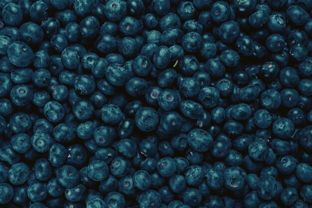 Photo fresh blueberry background. texture blueberry berries close up.