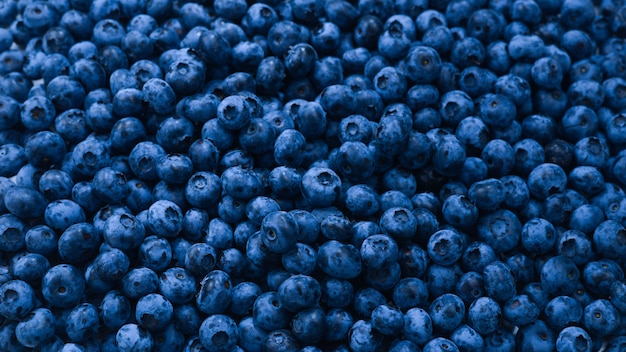 Fresh blueberry background.