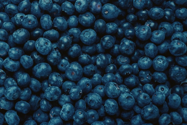 Fresh blueberry background