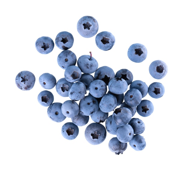 Fresh blueberry isolated on white background Bilberry or whortleberry Clipping path Top view