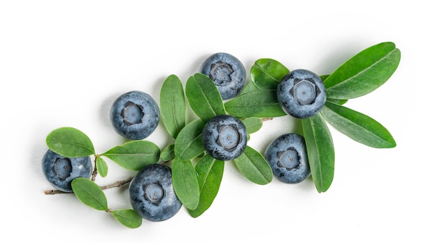 Fresh blueberry and leaves on white table