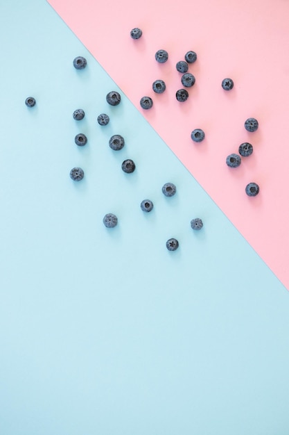 Fresh blueberry on pink blue background