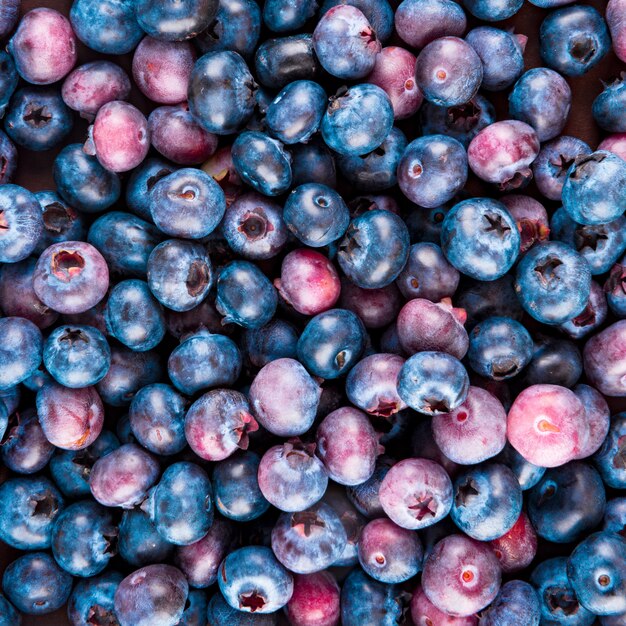 Fresh Blueberry. Texture blueberry berries close up.