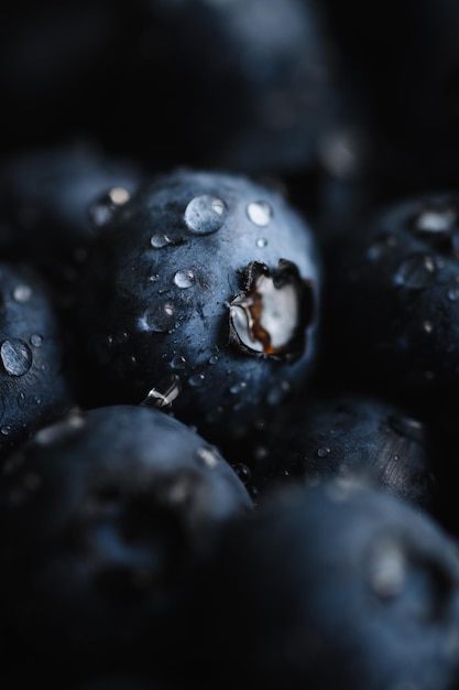 Fresh blueberry with water drops