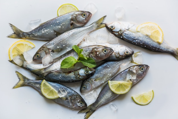 Fresh bluefish with lemons