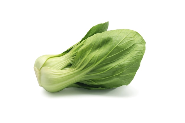 Photo fresh bok choy or chinese cabbage on whitexa