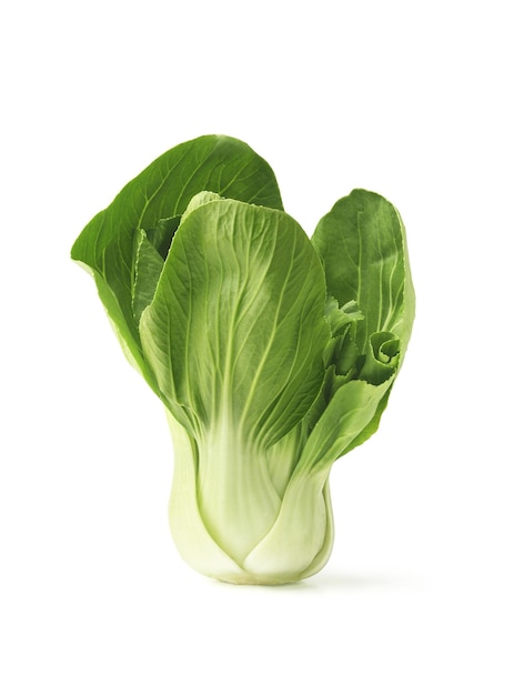 Photo fresh bok choy or chinese cabbage on whitexa