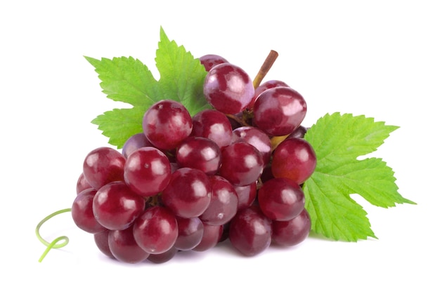 Fresh branch of red grapes in water drops isolated