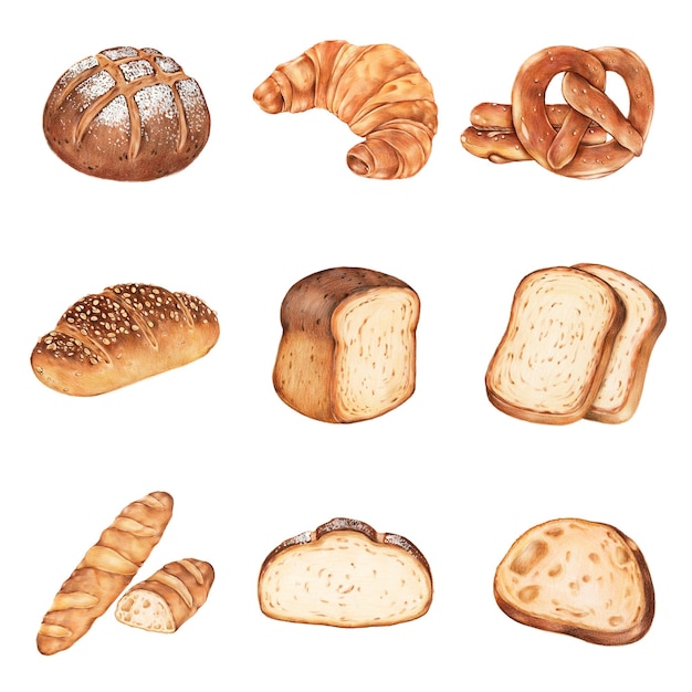 fresh bread illustration png food drawing mixed