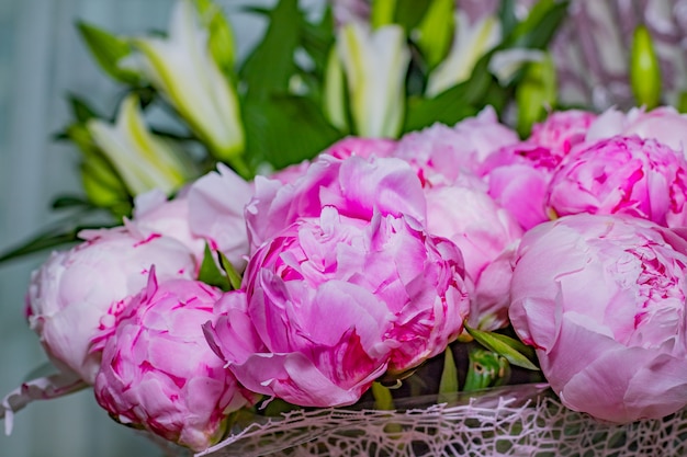 fresh bright blooming peonies flowers