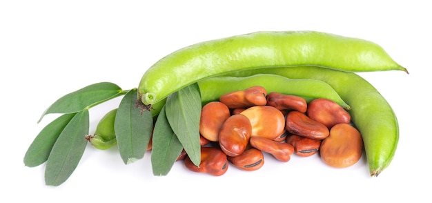 Fresh broad beans in pods with green leaf isolated on white background Dry fava beans