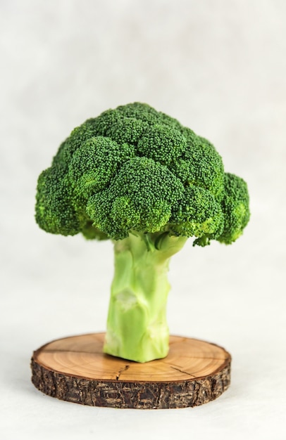 A fresh broccoli cabbage stands on a wood cut on a white background
