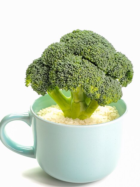 Photo fresh broccoli in a ceramic mug