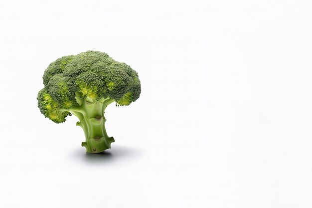 Foto broccoli freschi isolati su fondo bianco con lo spazio della copia